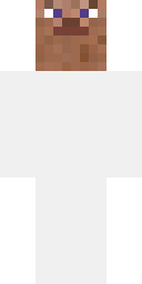 Plain Tan Steve Minecraft skin