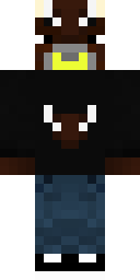 Shadow Cat Hoodie Minecraft skin