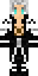 Silver Sorceress Cat Minecraft skin