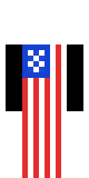 Stars Stripes Fighter Minecraft skin