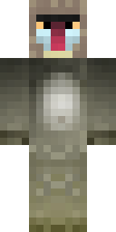 Stone Sage Robe Minecraft skin