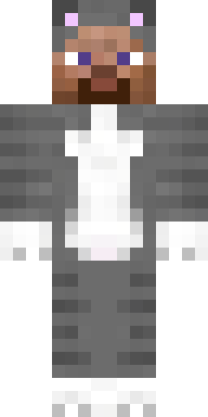 Furry Cat Kimono Minecraft skin