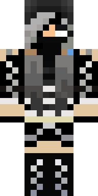 Silver Assassin Rogue Minecraft skin