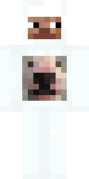 Polar Bear Cub Minecraft skin