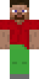 Casual Red Tee Minecraft skin
