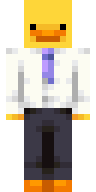 Duck Suit Minecraft skin