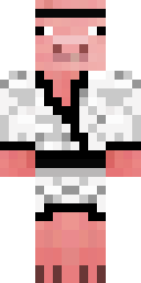 Karate Pig Minecraft skin