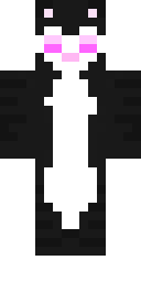 White Cat Plush Minecraft skin