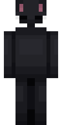 Midnight Panda Hood Minecraft skin