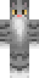 Fluffy Gray Tabby Minecraft skin
