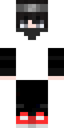 DVD Minecraft skin