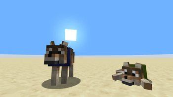 Cute Wolves 16x on PvPRP