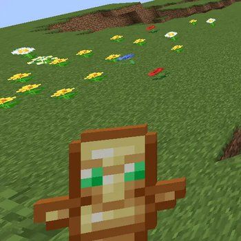 Smaller Totem 16x on PvPRP
