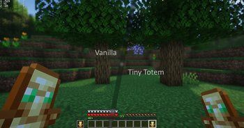 Tiny Totem 16x on PvPRP