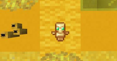 Blinking Totem 16x on PvPRP