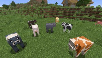 Earthly Mobs 16x on PvPRP