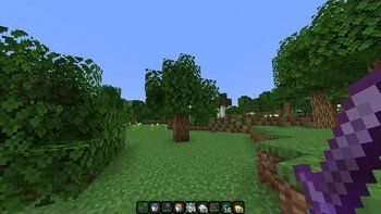 Smaller Crosshair 16x on PvPRP