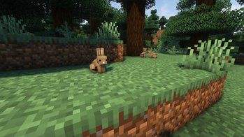 BVA - Better Vanilla Animals 16x on PvPRP