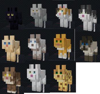 Renewed Animals 8x on PvPRP