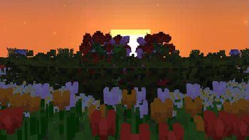 Flora Formae 16x on PvPRP
