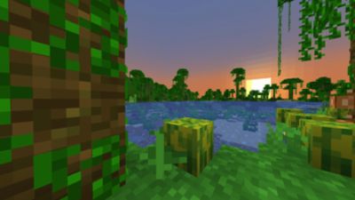 Downscaled 8x on PvPRP