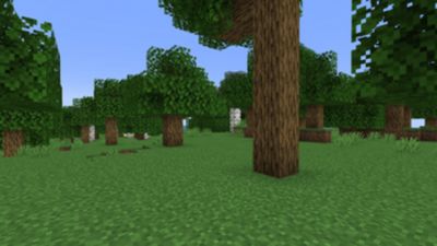 Shadify 16x on PvPRP