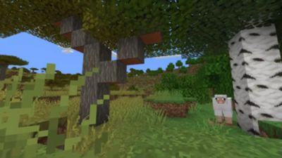 MultiPixel 32x on PvPRP