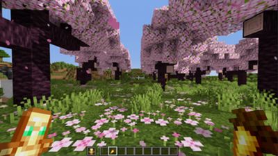 Small Handhelds 16x on PvPRP