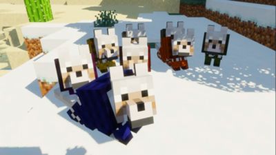 Dog Coats 16x on PvPRP