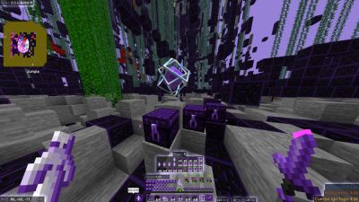 Purix 16x on PvPRP