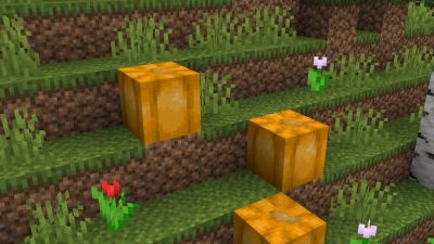 Retextured Melons 16x on PvPRP