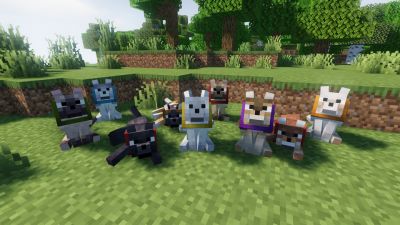 Wild Wolves 16x on PvPRP