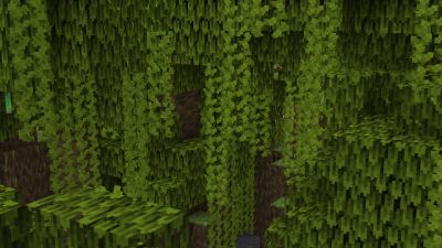 Retextured Vine 16x on PvPRP