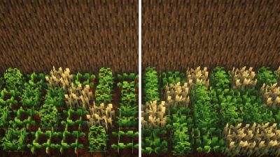 Bushy Crops 16x on PvPRP