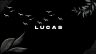 NotLucas