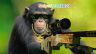 snipermonke21